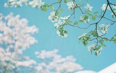 贵州中专学历可以直接读函授本科吗？